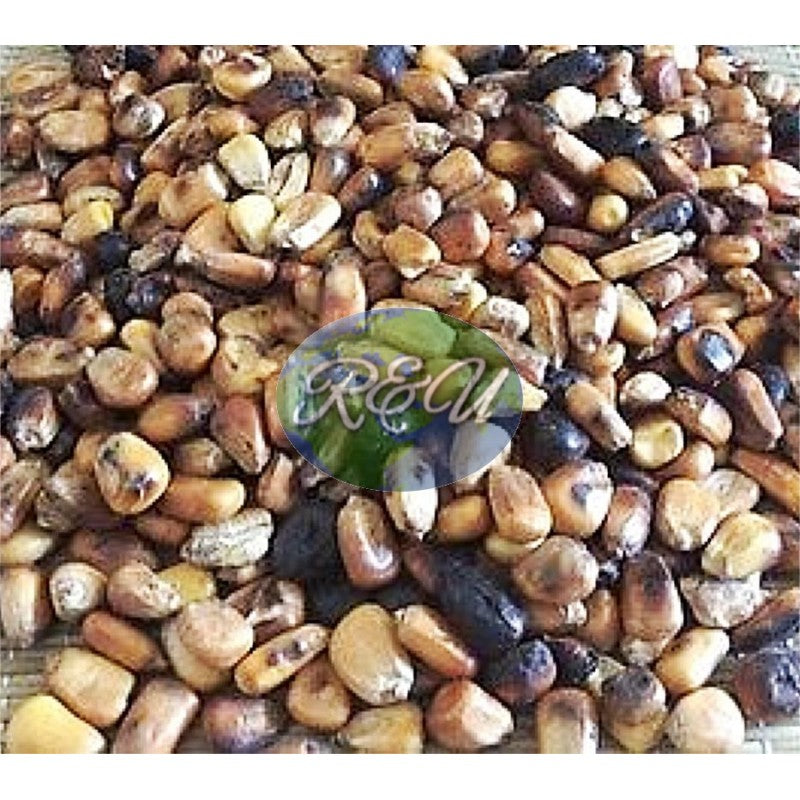 MAIZ TOSTADO/MAIZ TOSTADO 5 LB