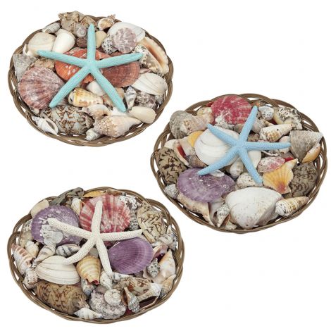 CARGA DE OLOKUN 10 '' , SHELL- PACK BASKET 10''