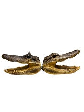 Cabezas de cocodrilo de 5" a 7" / Alligator Heads 5" to 7"